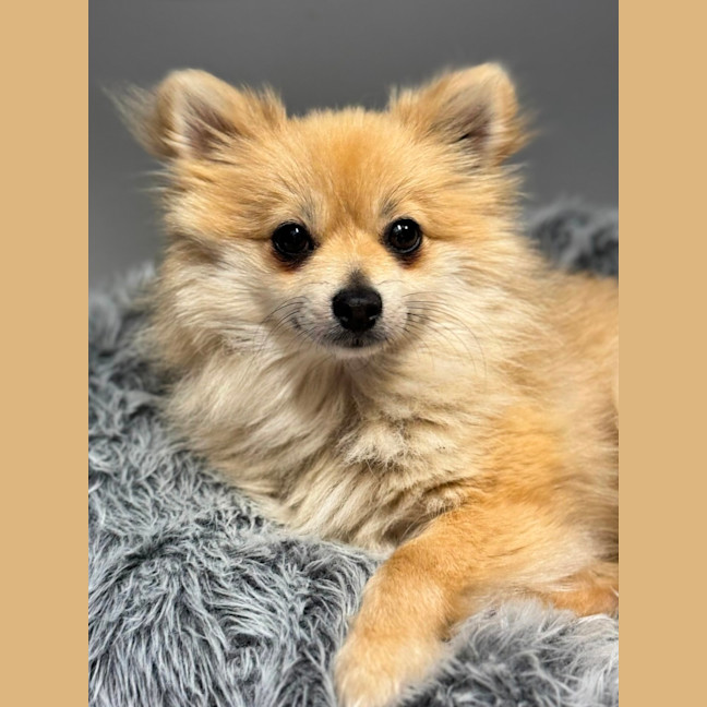 Photo of Betty