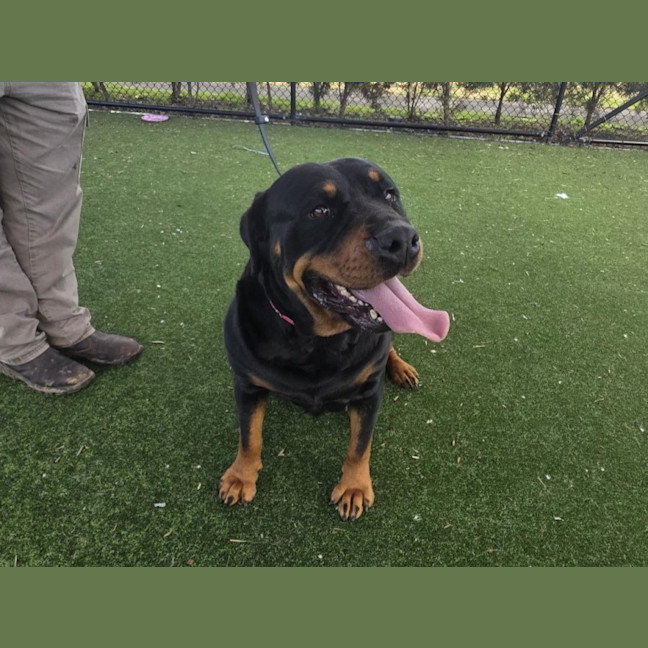 Photo of Marilyn Imp 1852