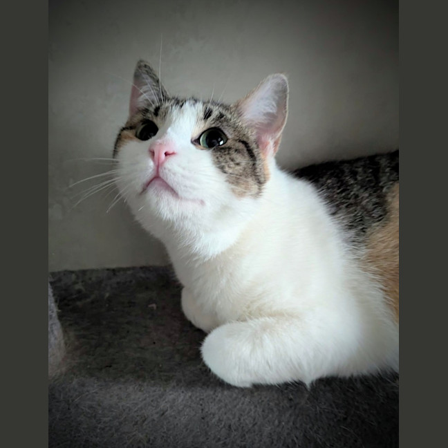 Photo of Minnie