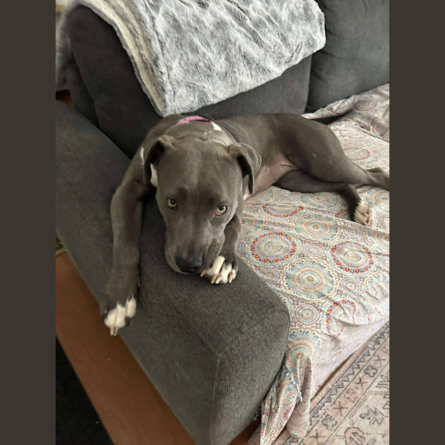 Photo of Bonnie