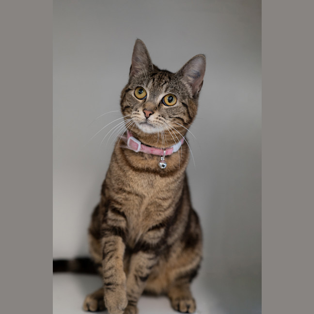 Photo of Wendy