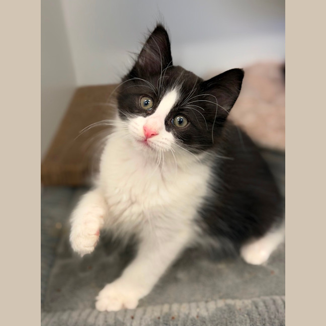 Photo of Wally