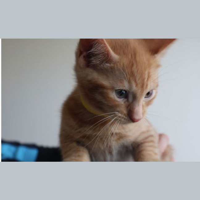 Photo of Stanley