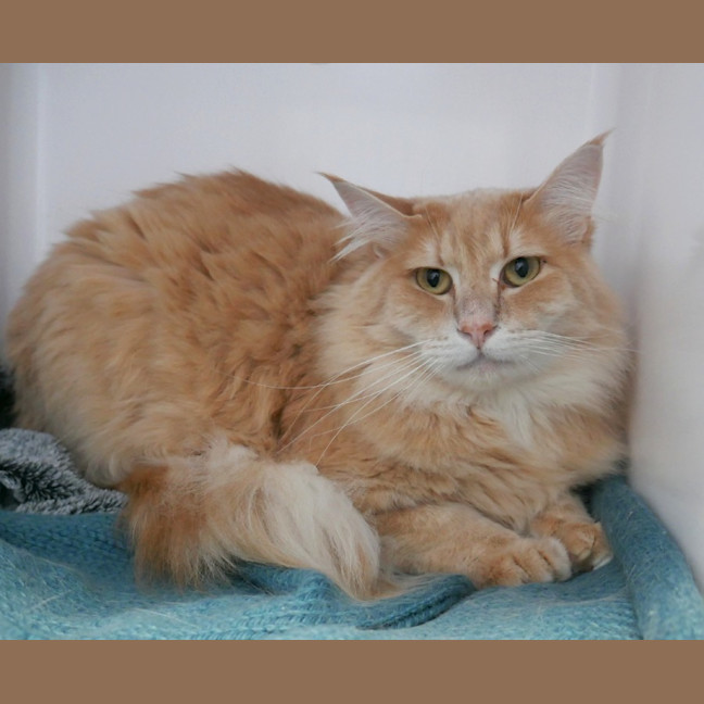 Photo of Nemo Rsta012109