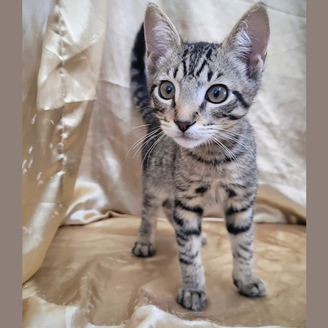 Photo of Breadcrumb 🍞🍞