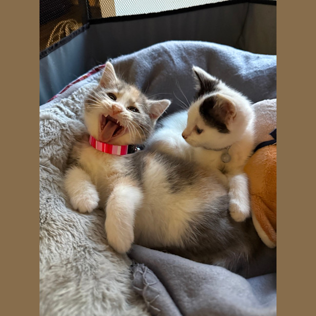 Photo of Josie (With Margo)