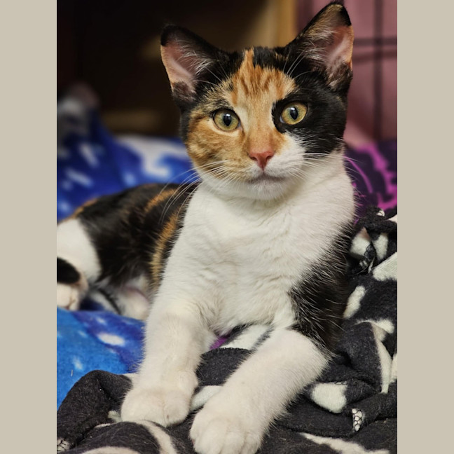 Photo of Cassie