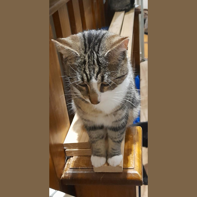 Photo of Devon