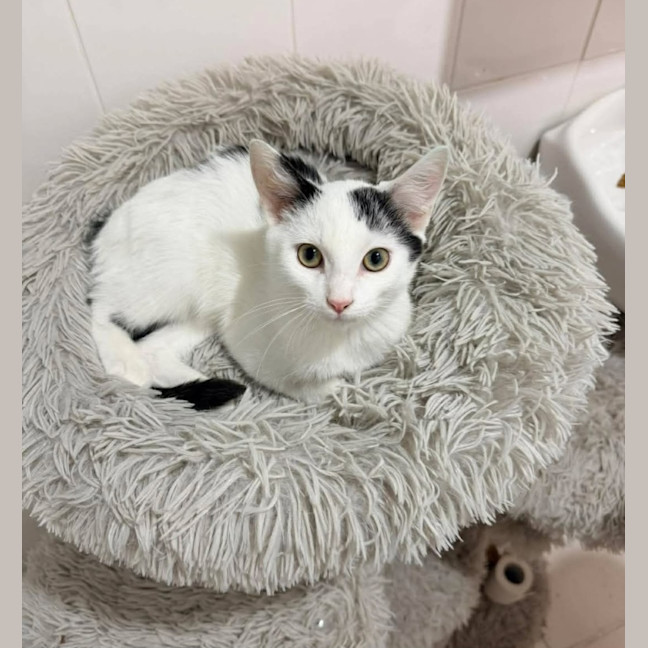 Photo of Sunny 