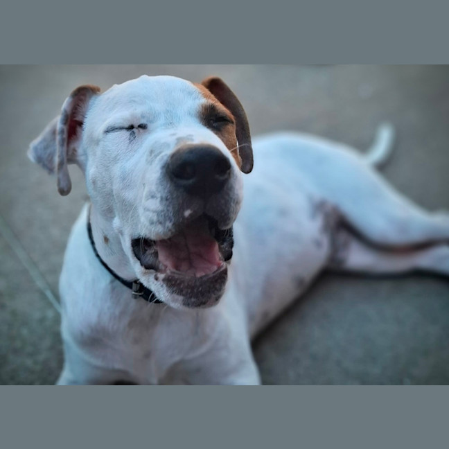 Photo of Cash