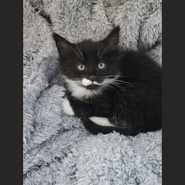 Photo of Donnie Thornbury