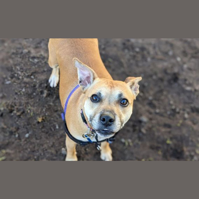 Photo of Polly