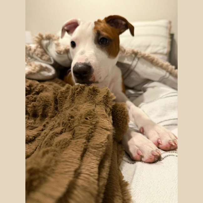 Photo of Cookie Oliver