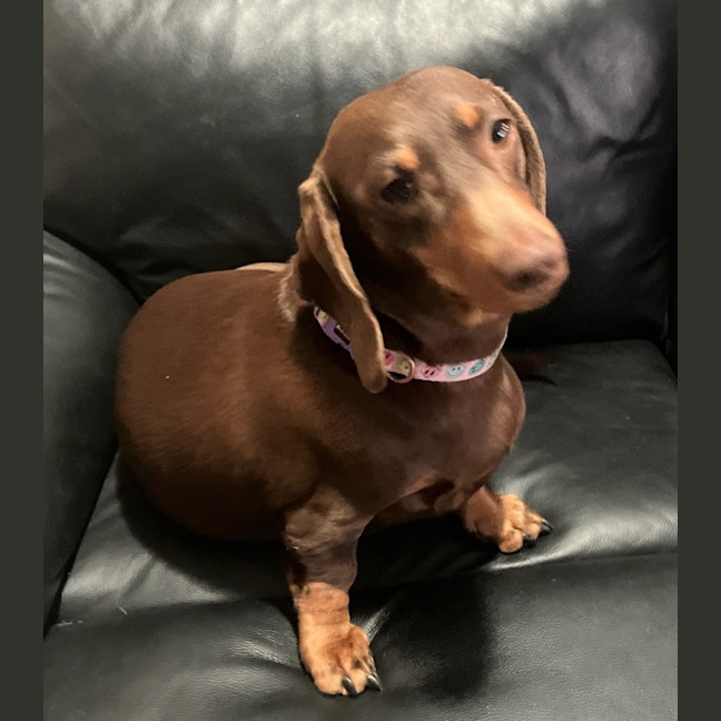 Photo of Liza