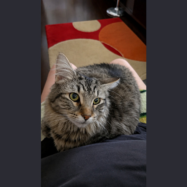 Photo of Ruby