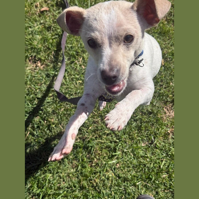 Photo of Coco