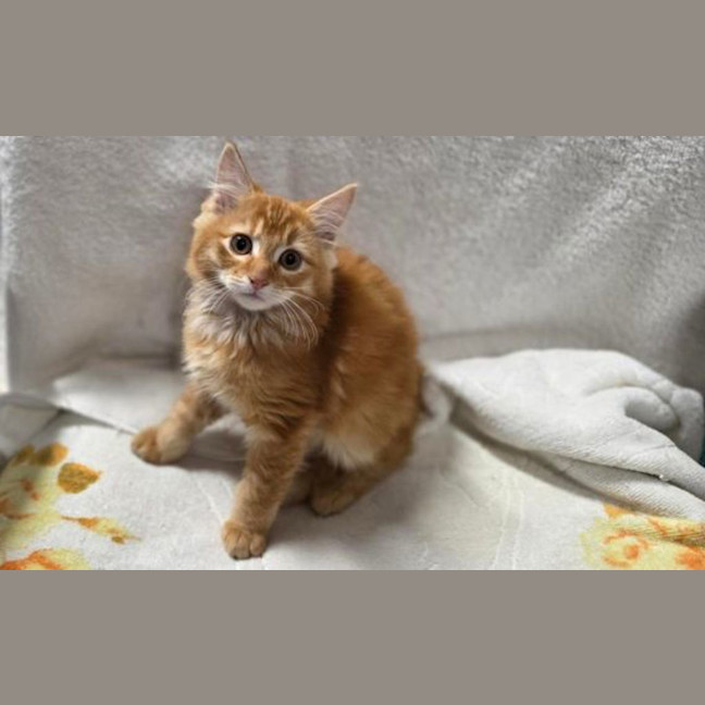 Photo of Mickey