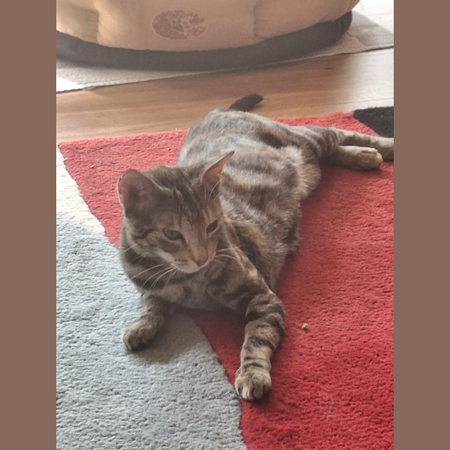 Photo of Tina