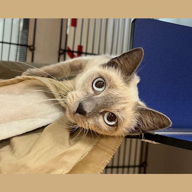 Photo of Freya