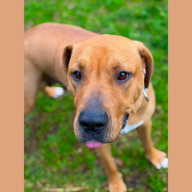 Photo of Lola