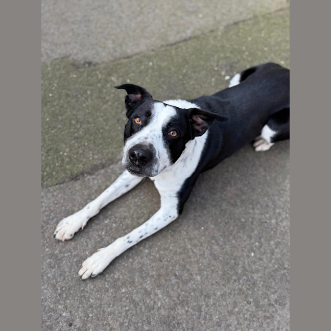 Photo of Turbo