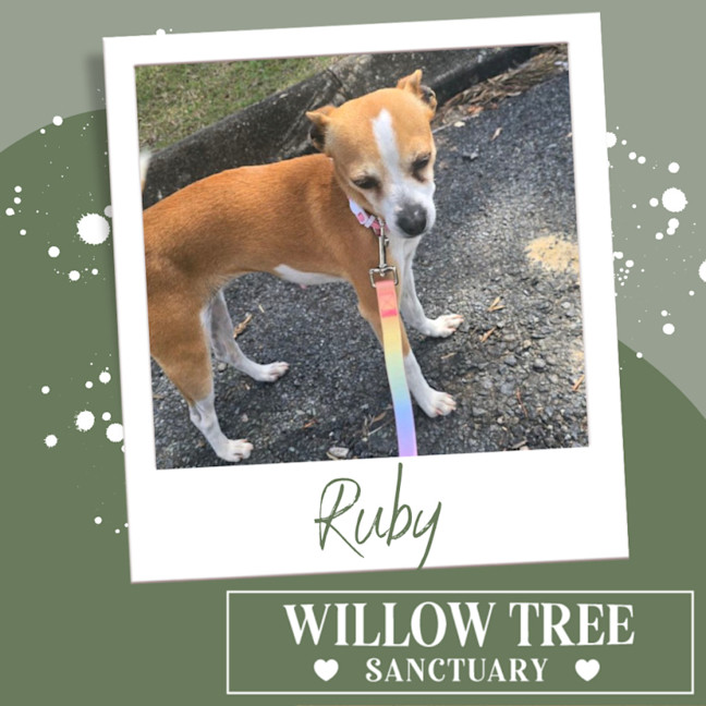 Photo of Ruby
