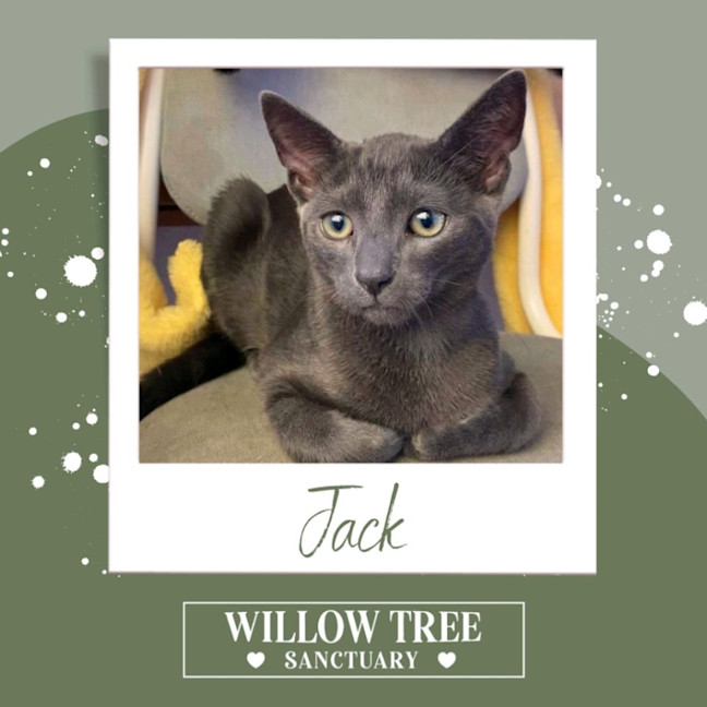 Photo of Jack
