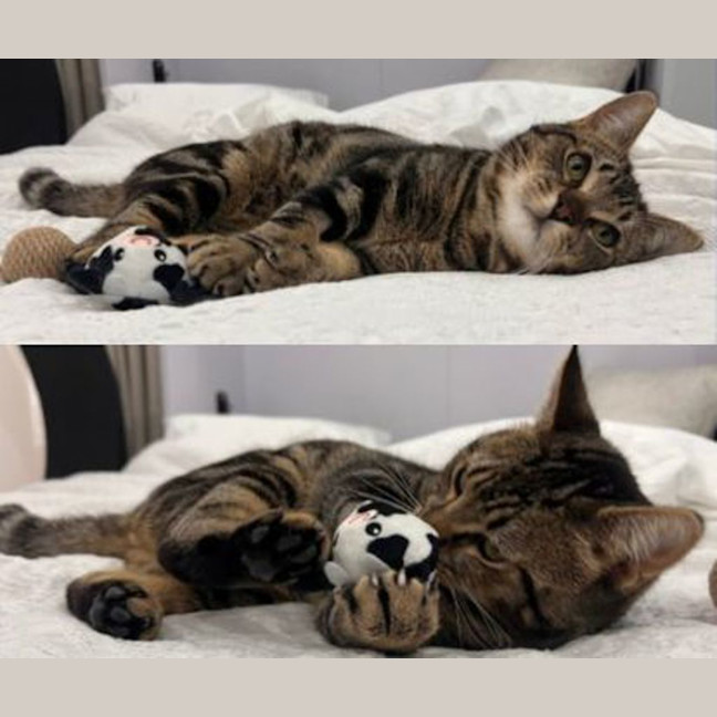 Photo of Charlie