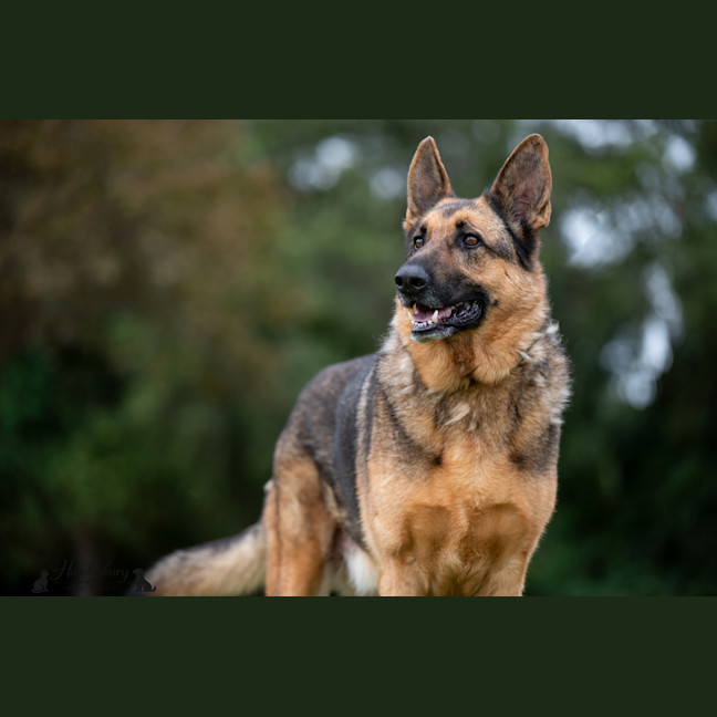 Photo of Ghost