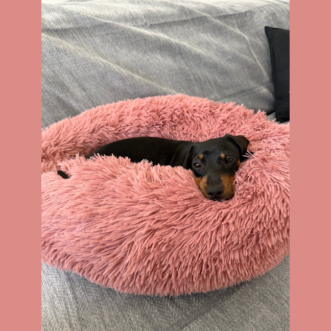Photo of Sequin