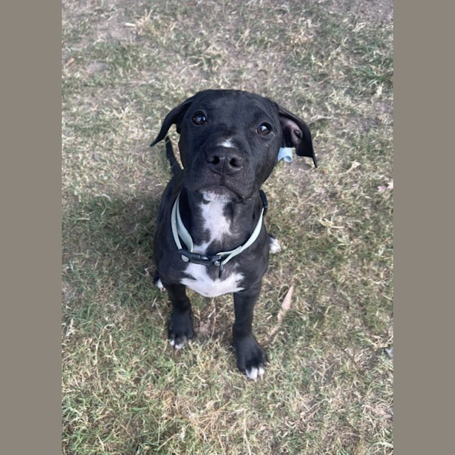 Photo of Tod 
