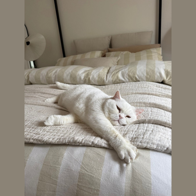 Photo of Yuki