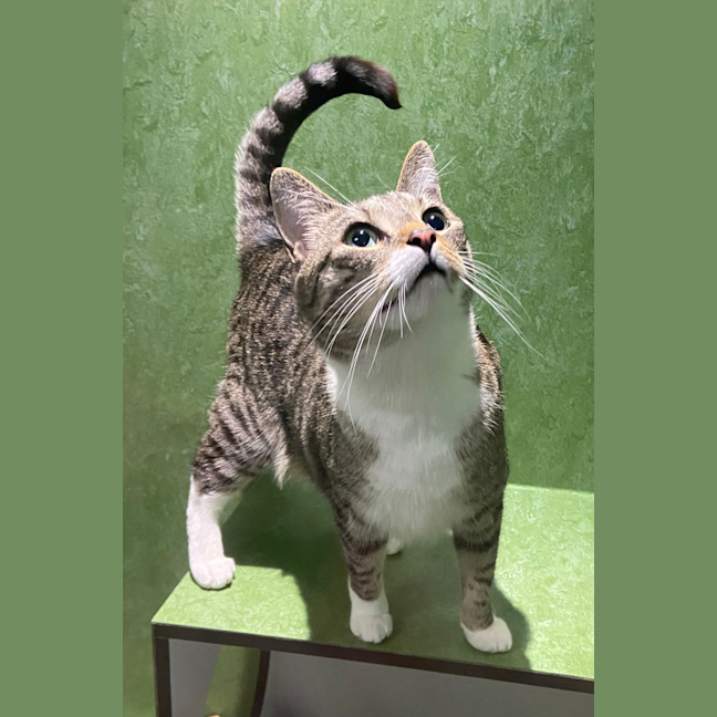 Photo of Murphy