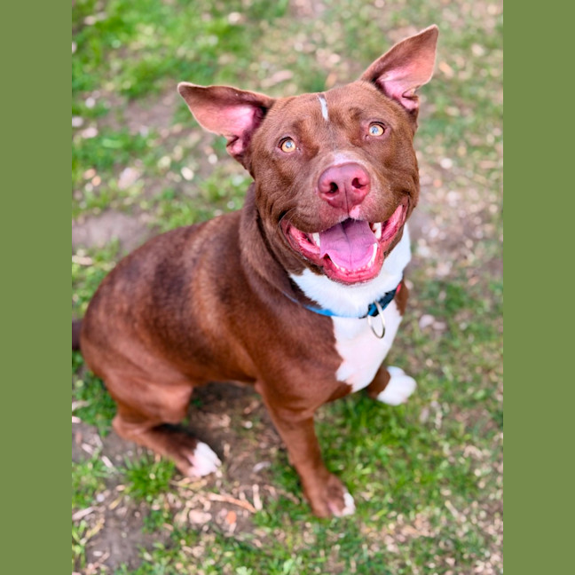 Photo of Zeus