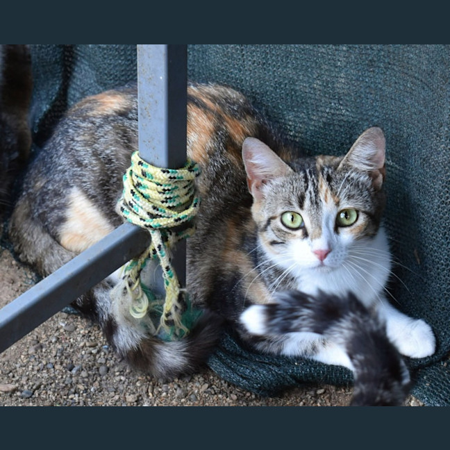 Photo of Boots
