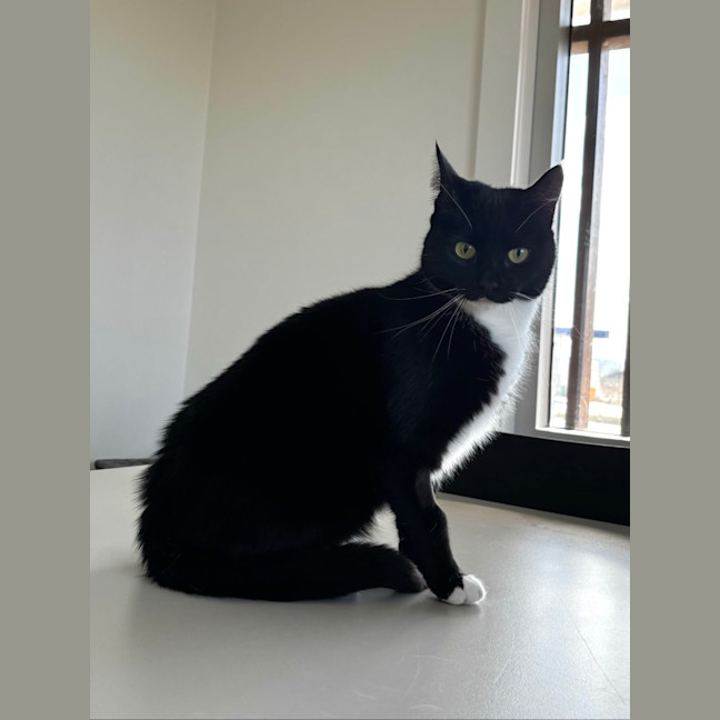Photo of Fiona