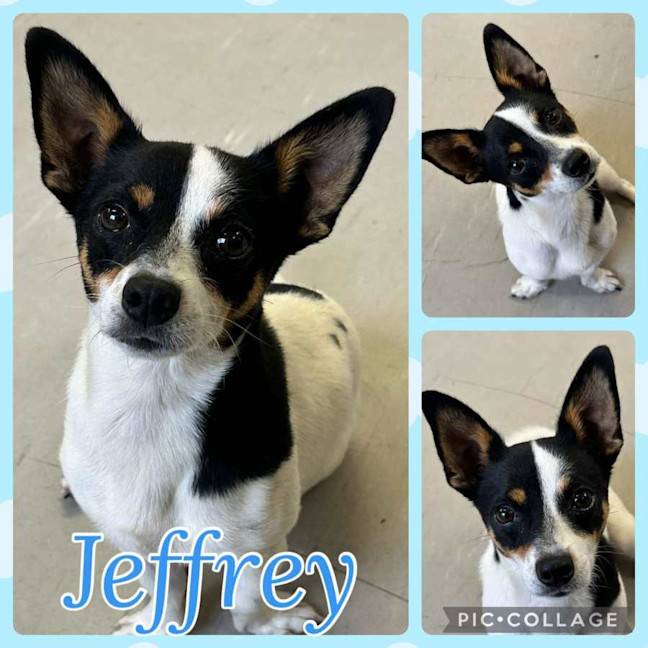 Photo of Jeffrey