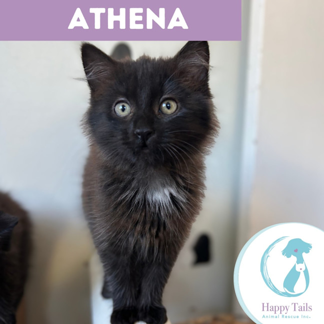 Photo of Athena