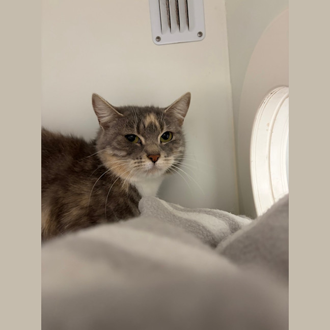 Photo of Cutie