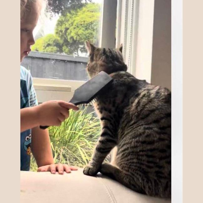 Photo of Tiga & Winnie 