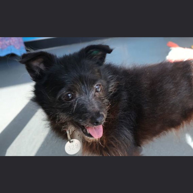 Photo of Molly