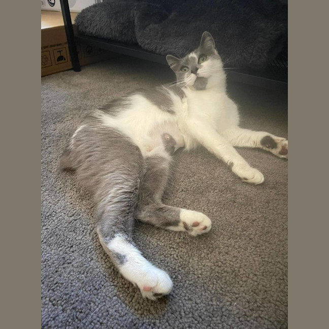 Photo of Donna