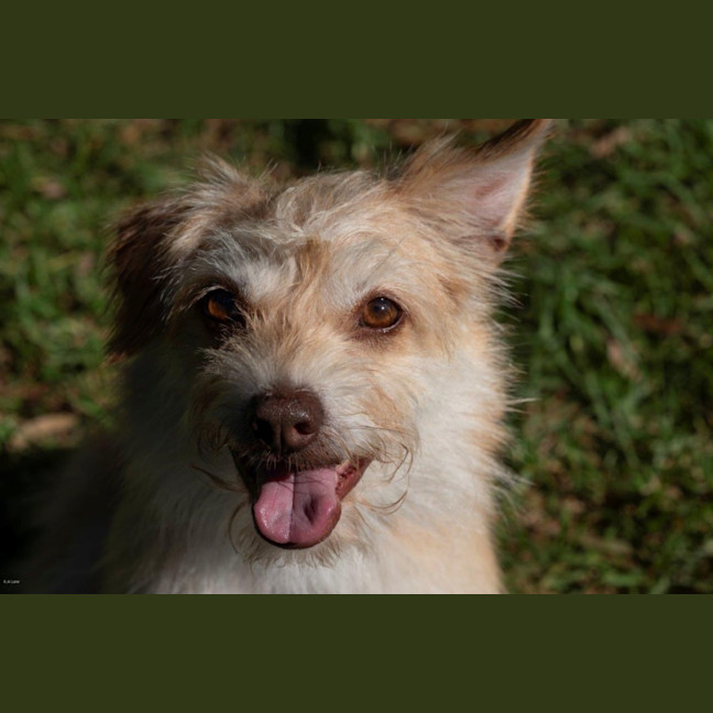 Photo of Buster Bulleau