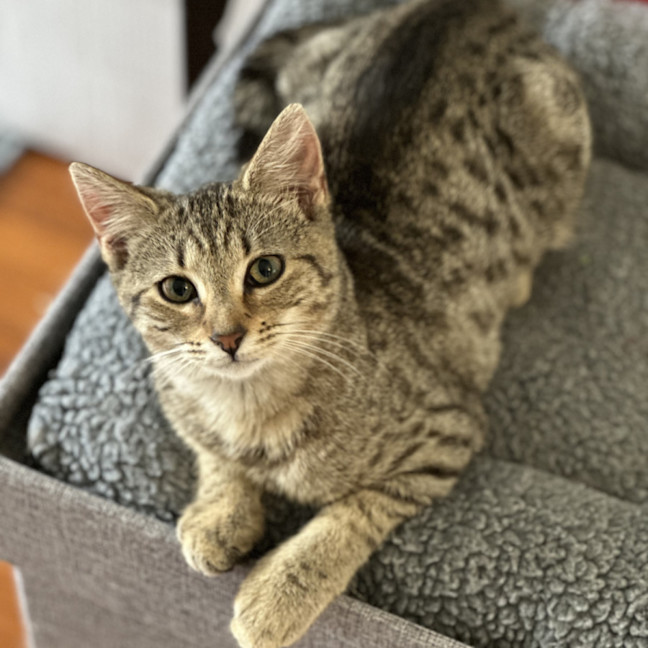 Photo of Twinkle