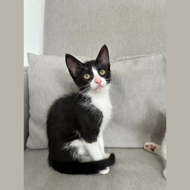 Photo of Madame Morrible