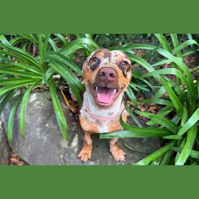 Photo of Beanie