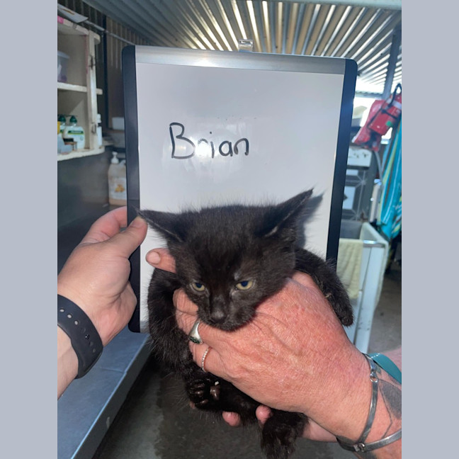 Photo of Brian