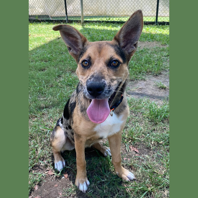 Photo of Maggie   Mae 