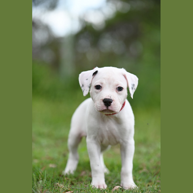 Photo of Zara