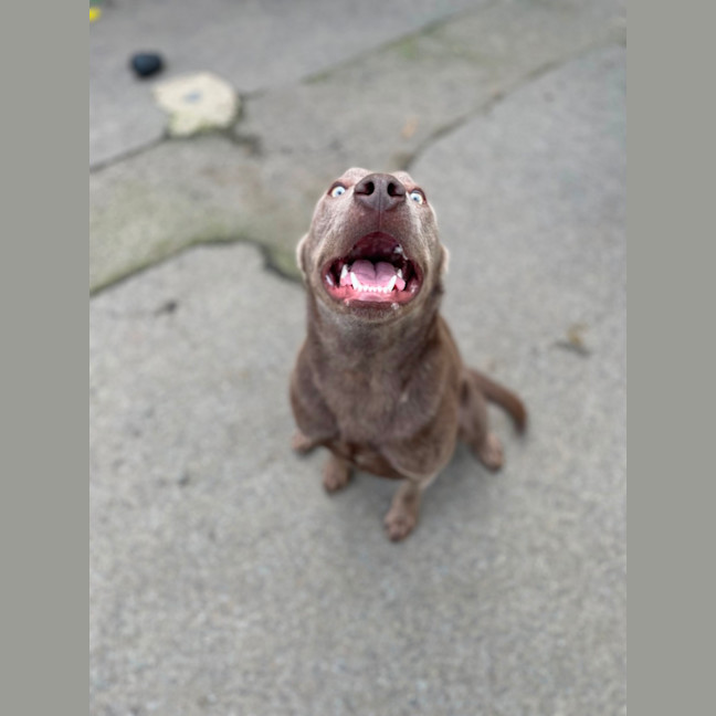 Photo of Stormy 